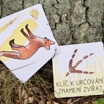 VÝPRODEJ, 2. jakost – Klíč k určování znamení zvířat