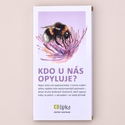 Kdo u nás opyluje