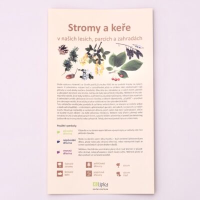 Stromy a keře v našich lesích, parcích a zahradách