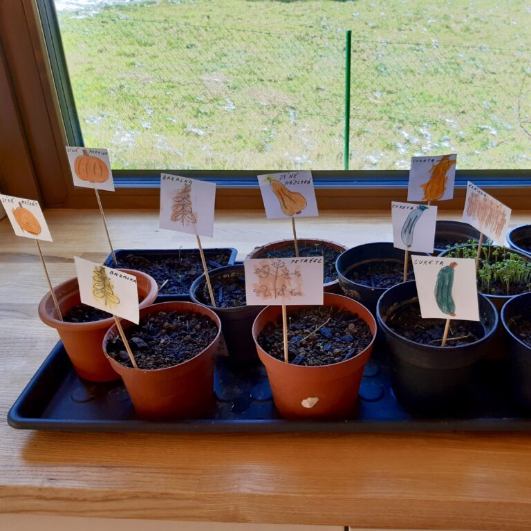 Přečtete si více ze článku Sázej a vyrob si zápichy