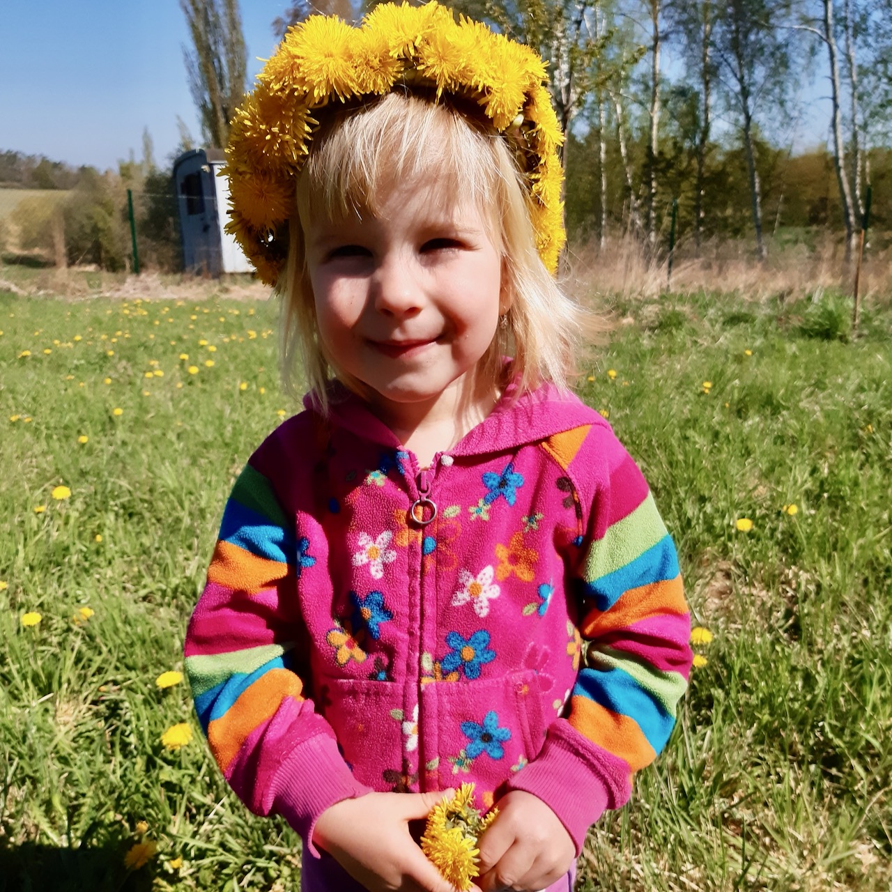 Přečtete si více ze článku Upleť si věneček