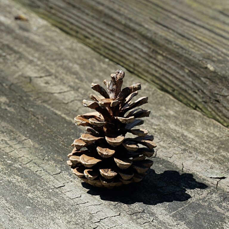 Přečtete si více ze článku Najdi na výletě