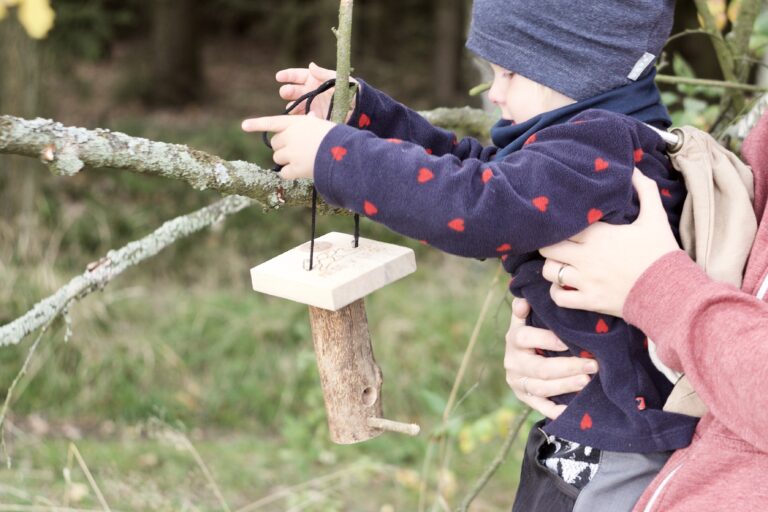 Přečtete si více ze článku Krmení ptáků nejen v zimě