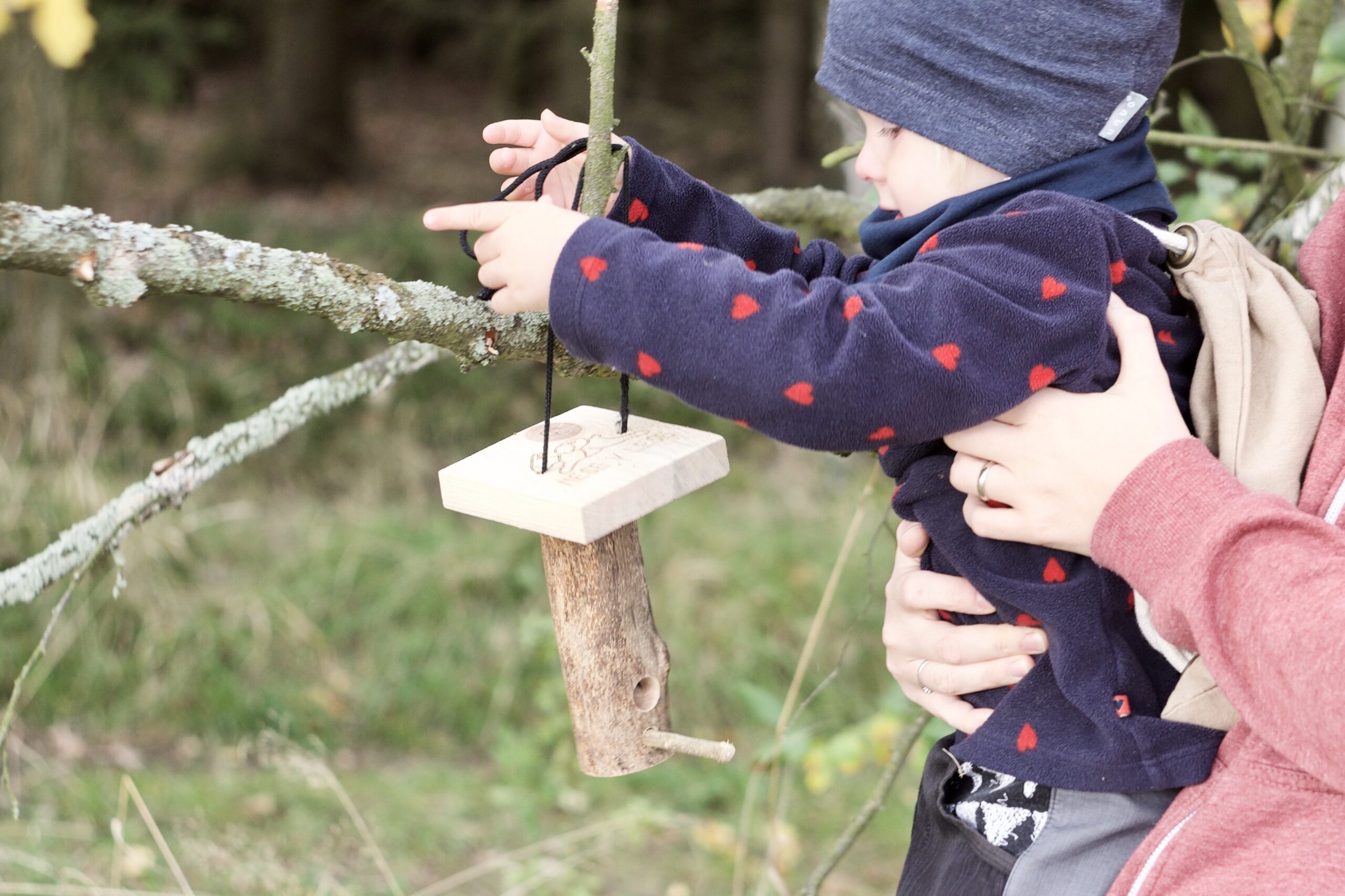 Přečtete si více ze článku Krmení ptáků nejen v zimě