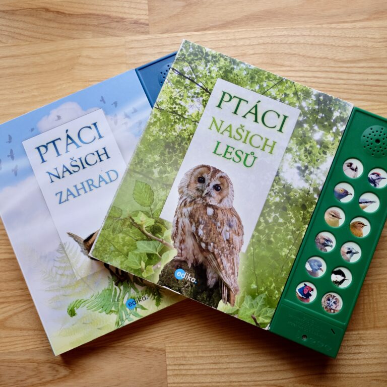 Přečtete si více ze článku Poslechni si zvuky ptáků