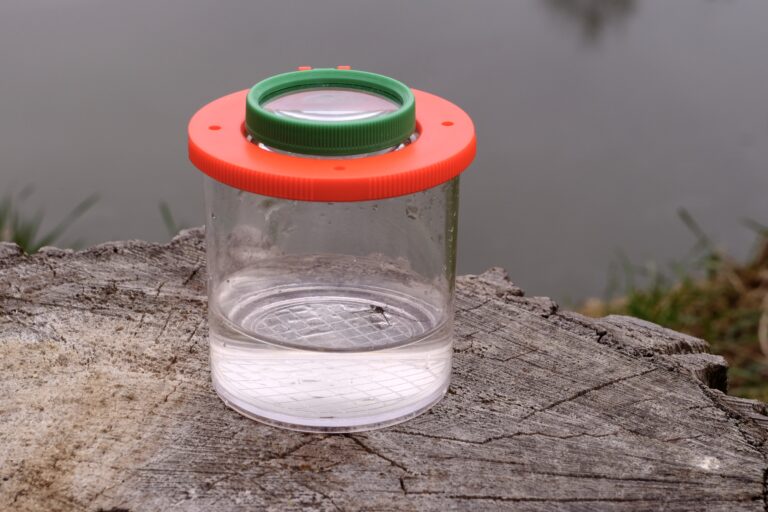 Přečtete si více ze článku Pozoruj vodní živočichy