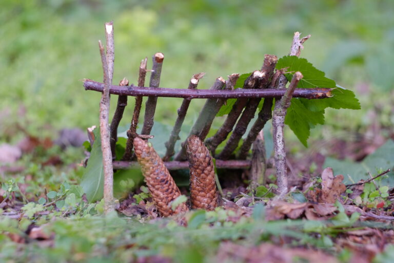 Přečtete si více ze článku Postav domeček v lese