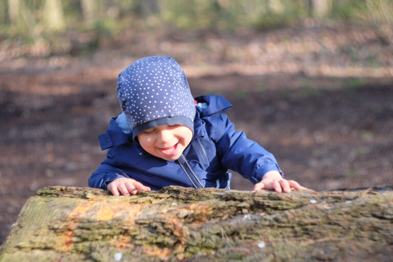 Přečtete si více ze článku Zdolávej překážky