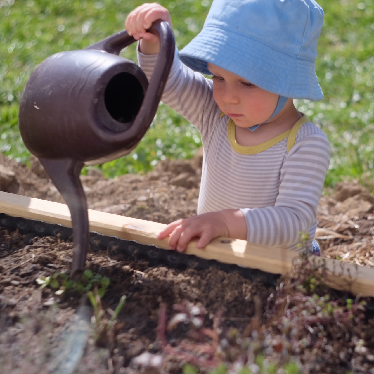 Přečtete si více ze článku Pečuj o svoji zahrádku