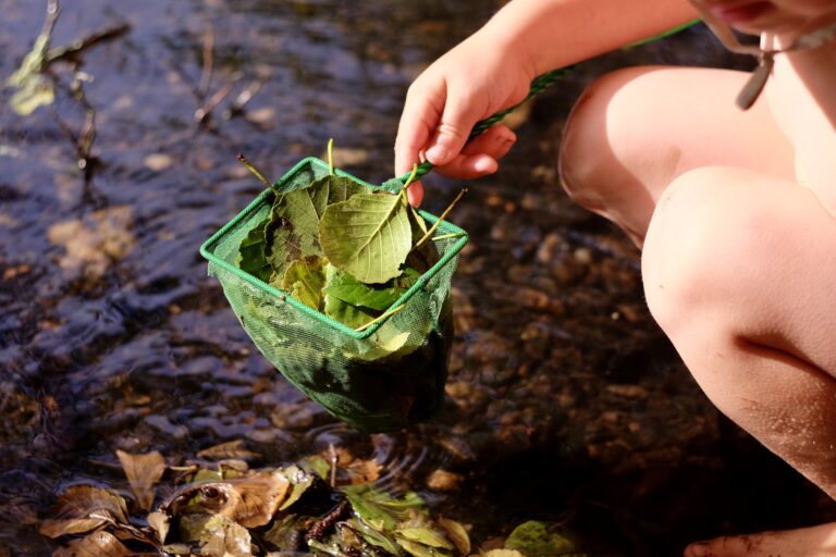 Přečtete si více ze článku Prozkoumej potok
