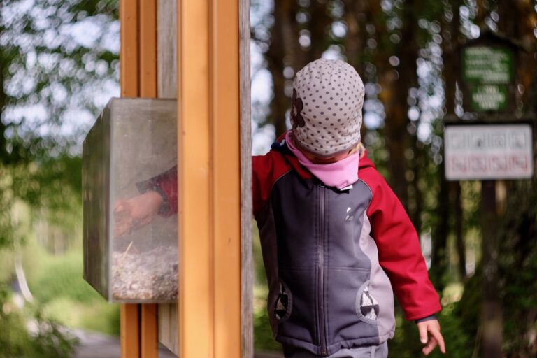 Přečtete si více ze článku Zavři oči a hledej