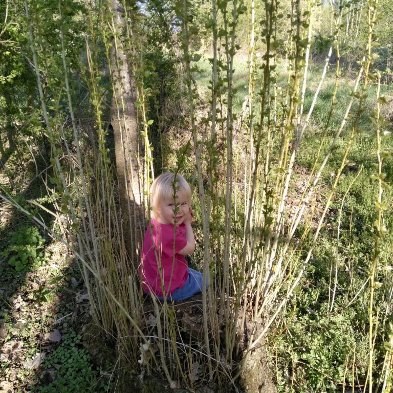 Přečtete si více ze článku Stav si domečky