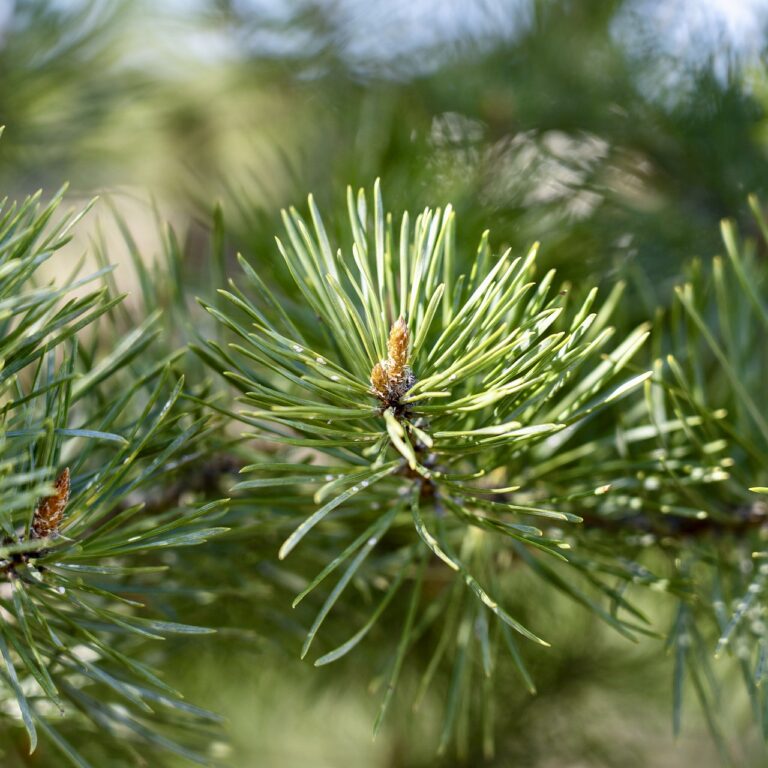 Přečtete si více ze článku Hledej barvy v přírodě