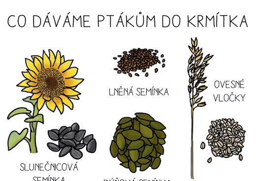 Přečtete si více ze článku Víš, co patří do krmítka?