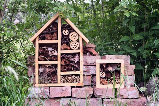 Přečtete si více ze článku BUDOVÁNÍ KOUTKU PRO HMYZ