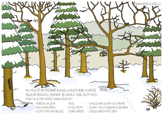 Přečtete si více ze článku Hledej ptačí znamení