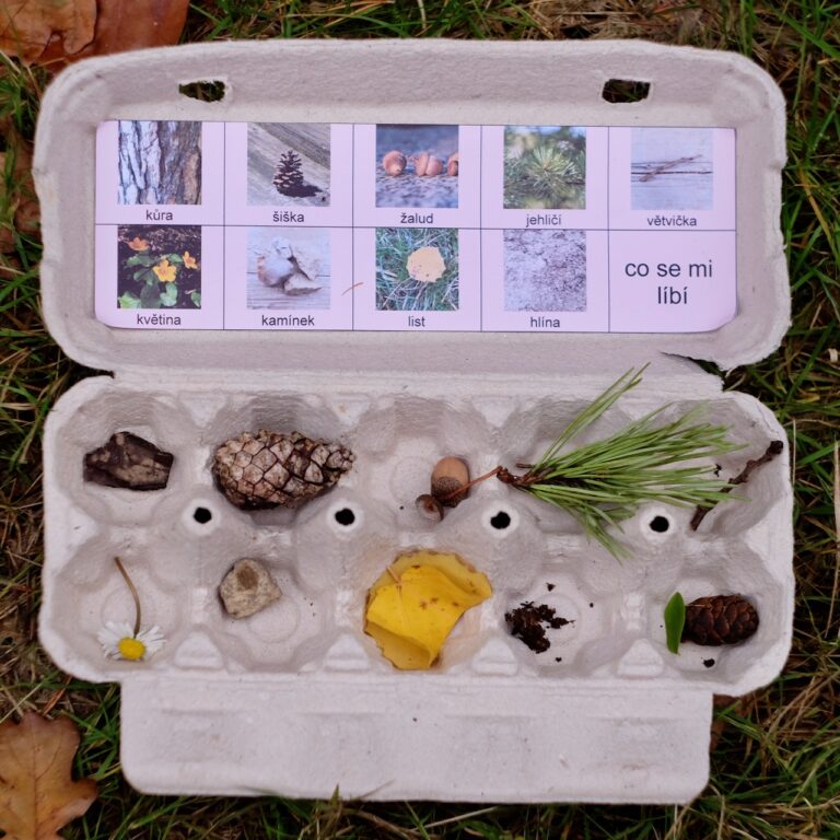 Přečtete si více ze článku Sbírej přírodniny