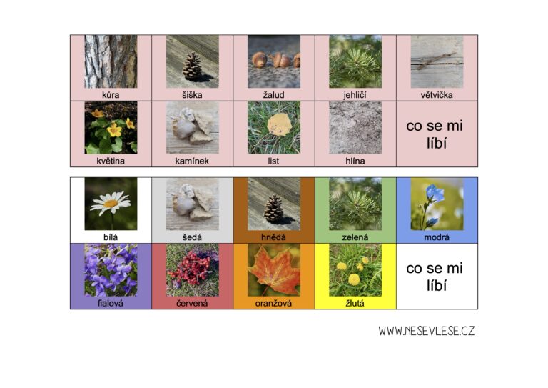 Přečtete si více ze článku Sbírej přírodniny