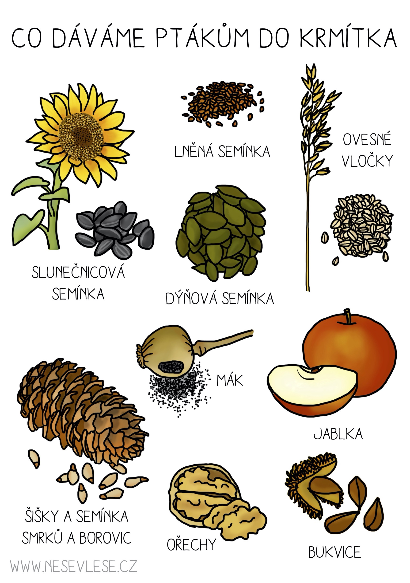 Přečtete si více ze článku Víš, co dáváme ptákům do krmítka?