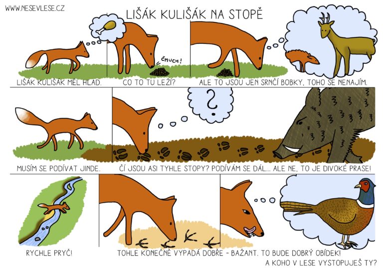 Přečtete si více ze článku Přečti si příběh lišáka Kulišáka