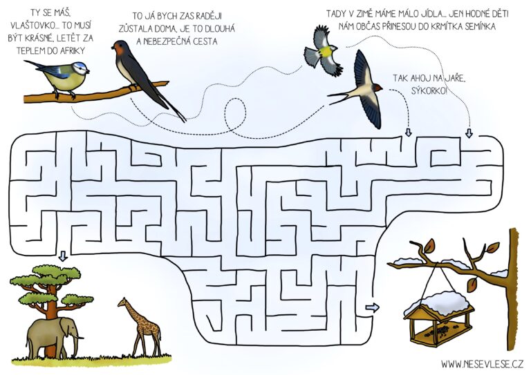 Přečtete si více ze článku Vyzkoušej ptačí bludiště