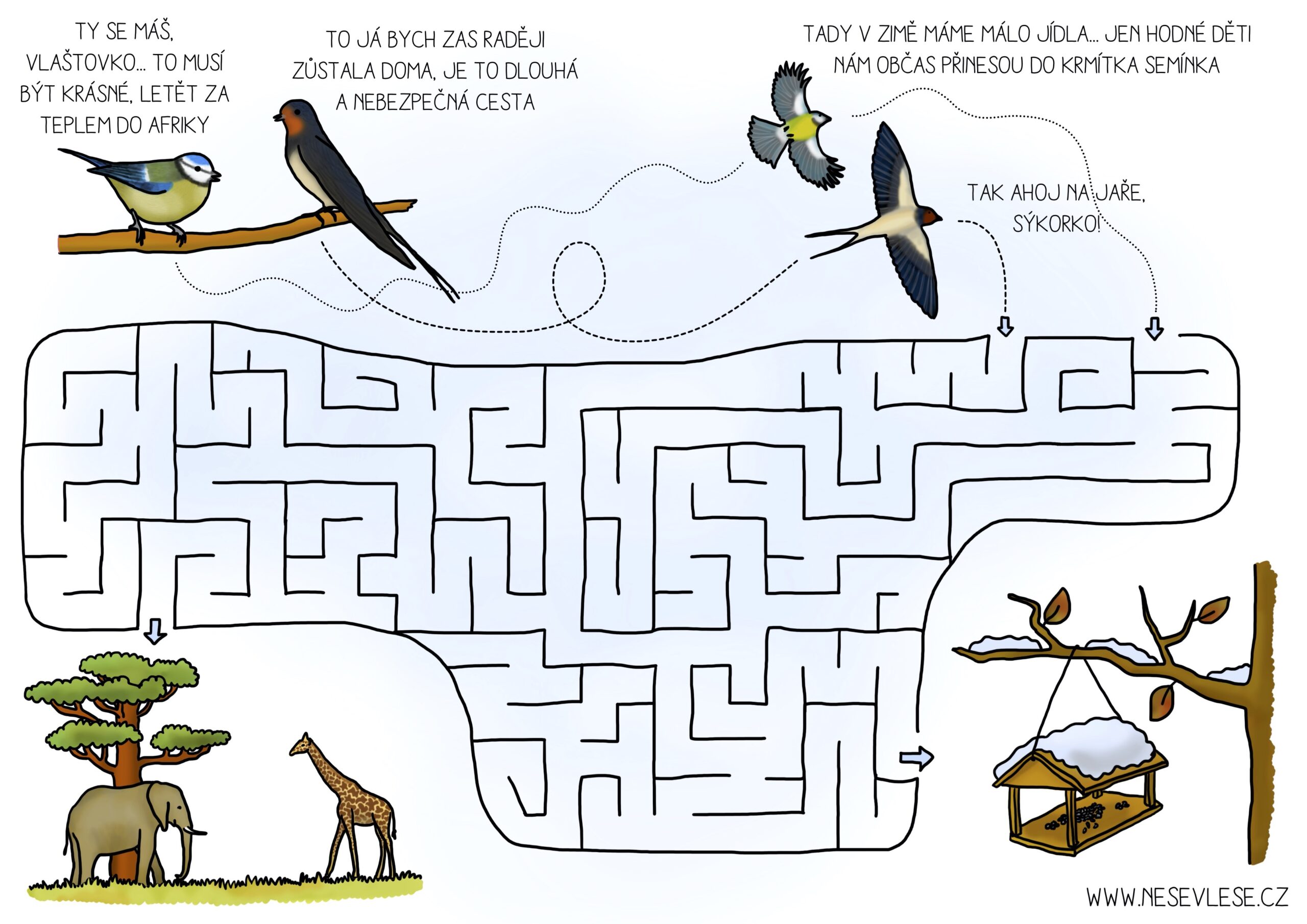 Přečtete si více ze článku Vyzkoušej ptačí bludiště