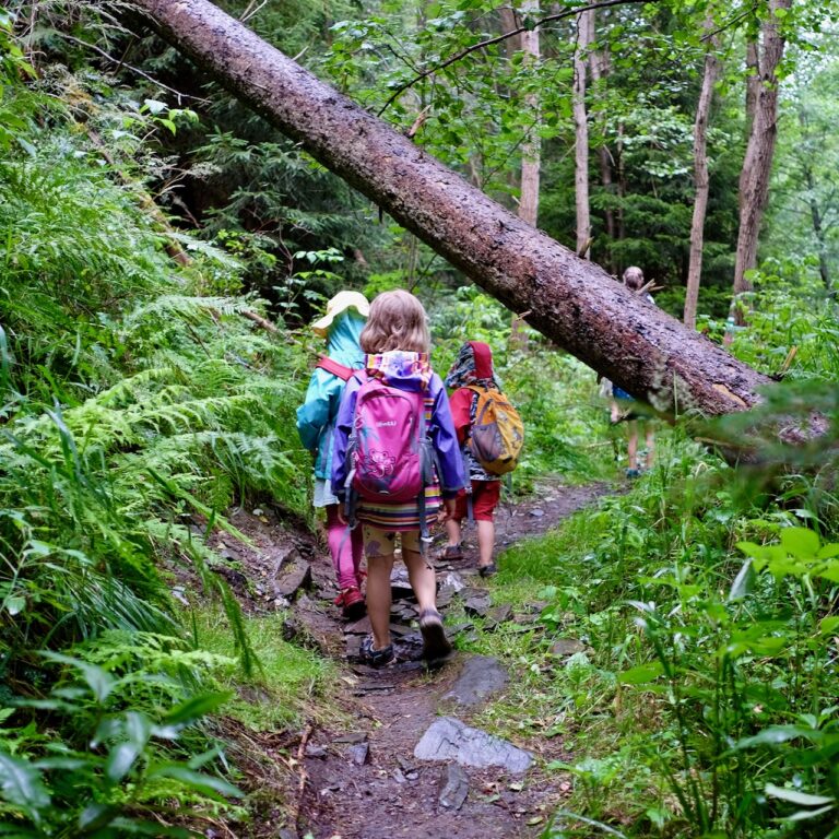 Přečtete si více ze článku Vybavení na výlet