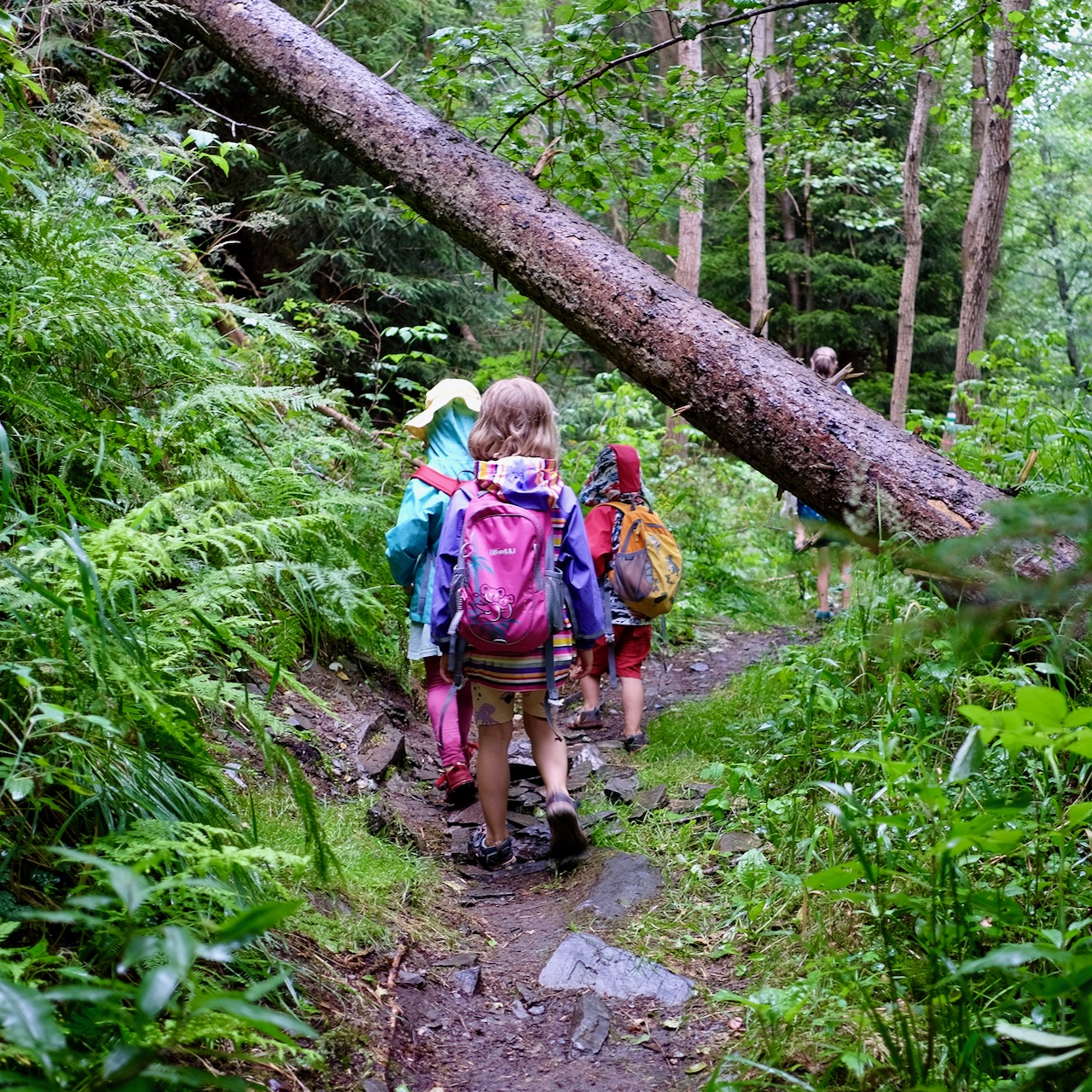 Přečtete si více ze článku Vybavení na výlet